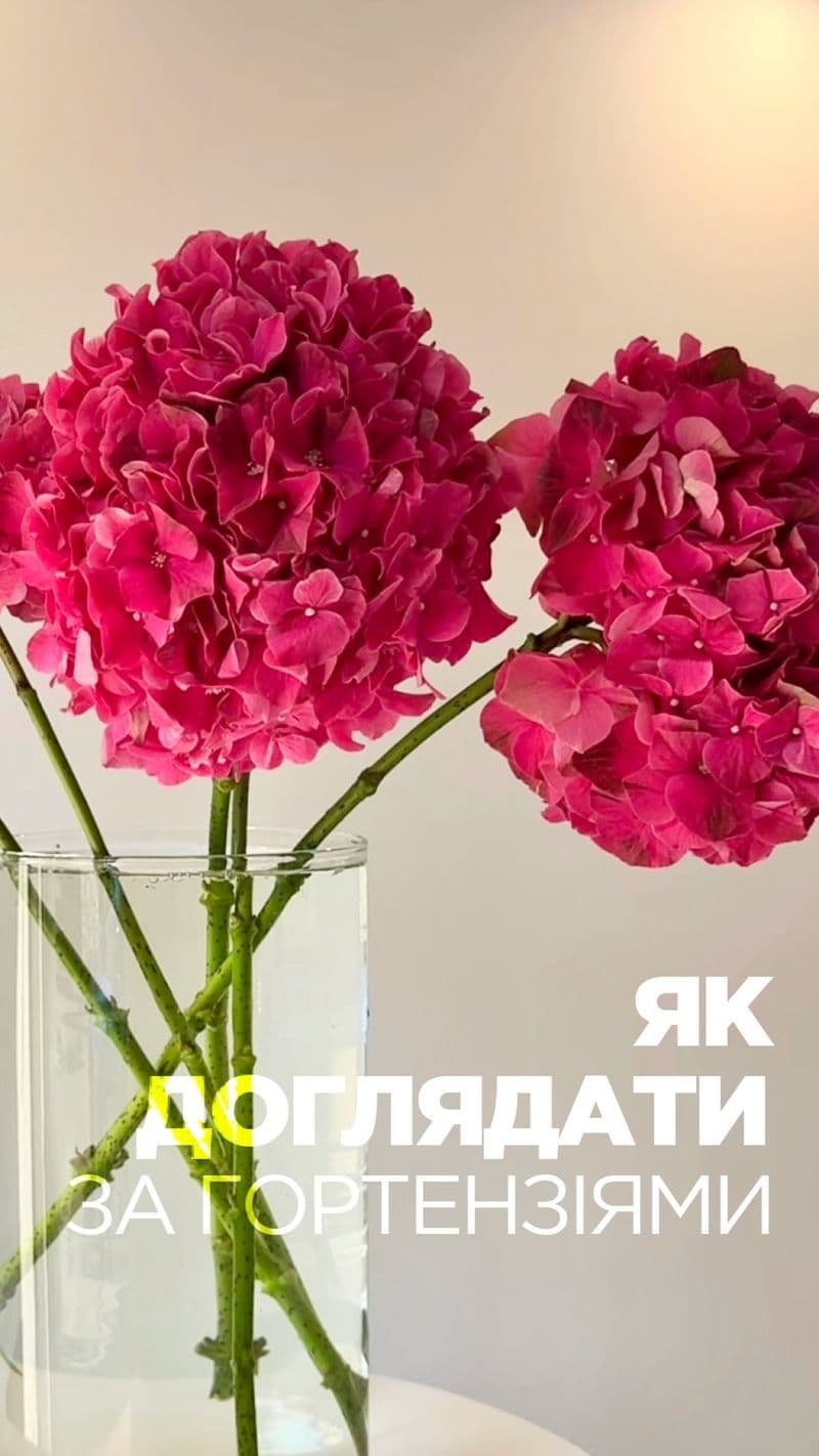 Instagram допис